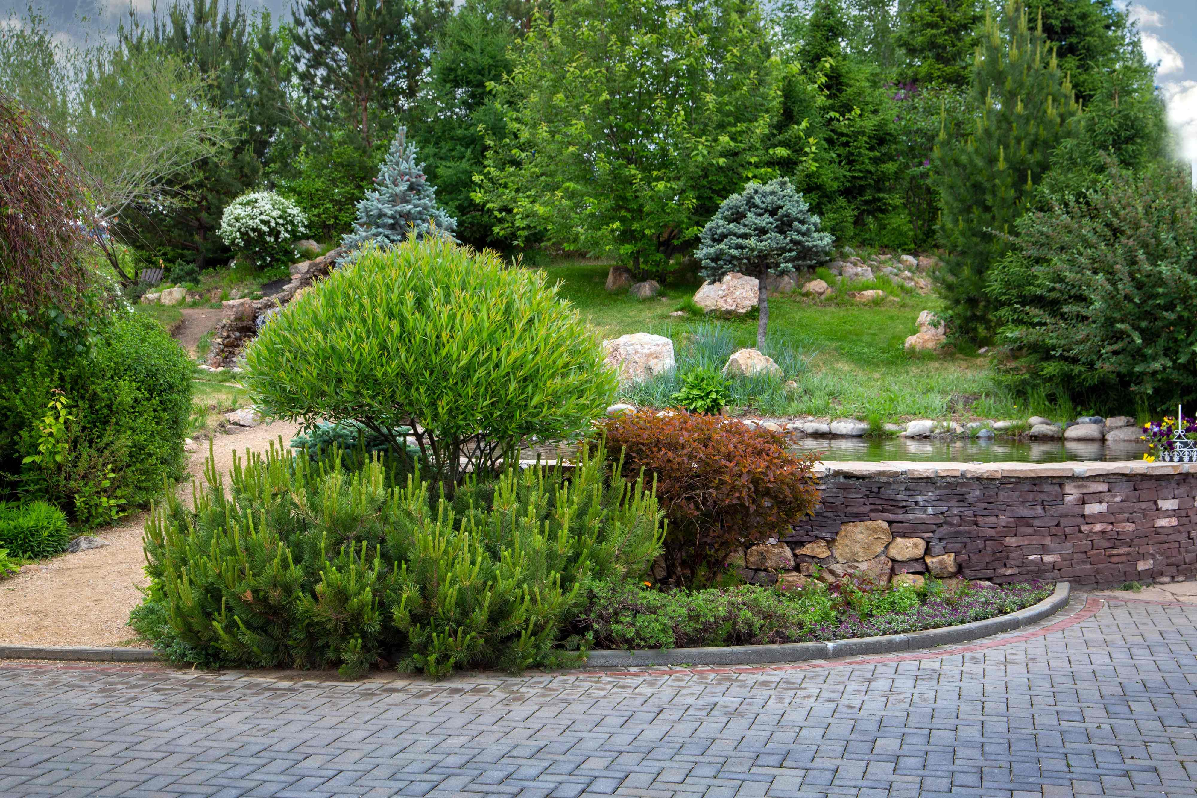Beautiful Landscaping